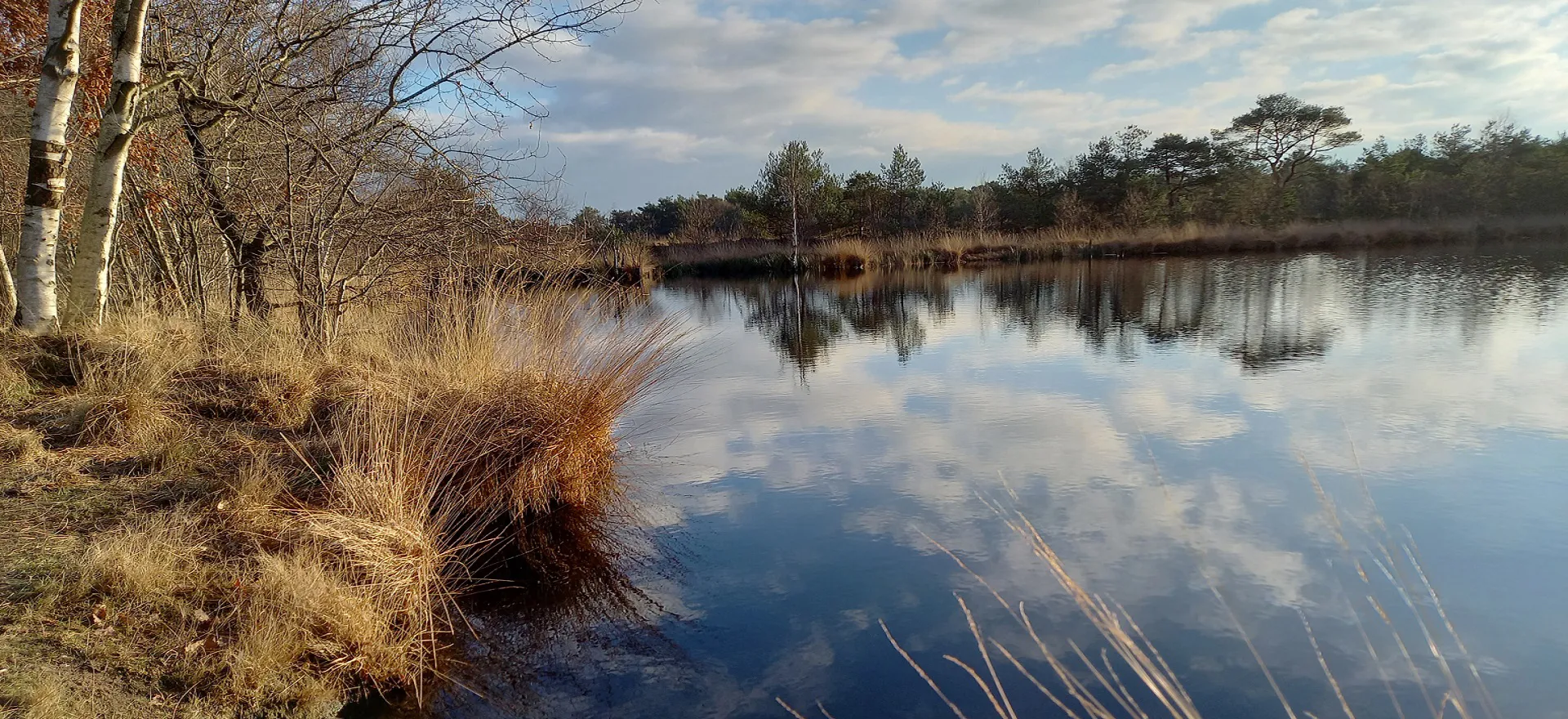 Hamberger Moor