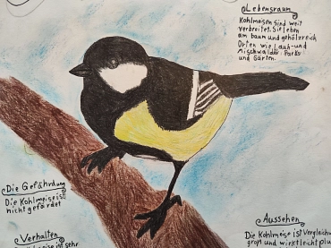 Vogel&nbsp;&copy;&nbsp;Samtgemeinde Hambergen