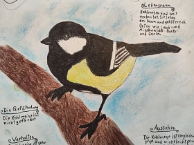 Ausstellungsbild Vogel
