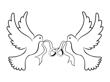 Tauben&nbsp;&copy;&nbsp;fotolia